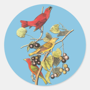 John J Audubon Summer Tanager Bird Artスタンプ ラウンドシール