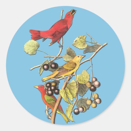 John J Audubon Summer Tanager Bird Artスタンプ ラウンドシール (正面)