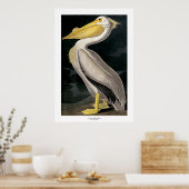 John James Audubon著アメリカのホワイトペリカン ポスター (キッチン)
