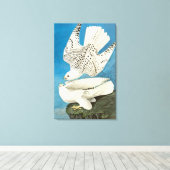 John James Audubon著、Gyrfalcons、別名Gerfalcons キャンバスプリント (インサイチュ (ウッドフロア))