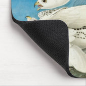 John James Audubon著、Gyrfalcons、別名Gerfalcons マウスパッド (コーナー)