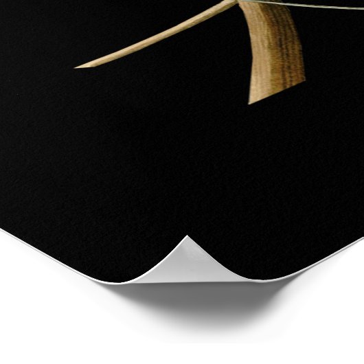 John James Audubon ～夏の赤い鳥～ ポスター (角)