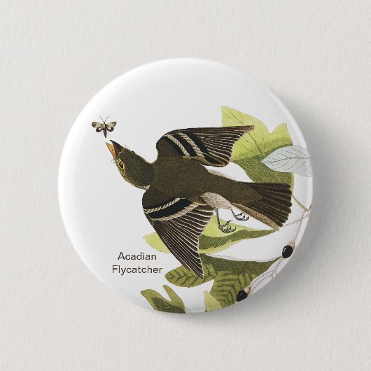 John James Audubon Birdwatcher氏 缶バッジ (正面)