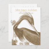 John James Audubon Lousiana heron CC0752バード ポストカード (正面/裏面)