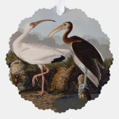 John James Audubon White Ibis Bird Print Classic オーナメントカード (裏面)