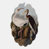John James Audubon White Ibis Bird Print Classic オーナメントカード (右)