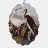 John James Audubon White Ibis Bird Print Classic オーナメントカード (左)