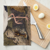 John James Audubon White Ibis Bird Print Classic キッチンタオル (四つ折り)