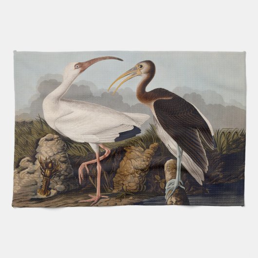 John James Audubon White Ibis Bird Print Classic キッチンタオル (横)