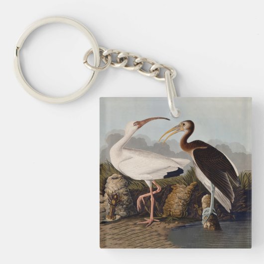 John James Audubon White Ibis Bird Print Classic キーホルダー (正面)