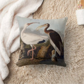 John James Audubon White Ibis Bird Print Classic クッション (ブランケット)