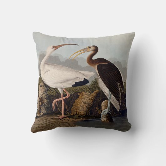 John James Audubon White Ibis Bird Print Classic クッション (裏面)