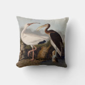 John James Audubon White Ibis Bird Print Classic クッション (正面)