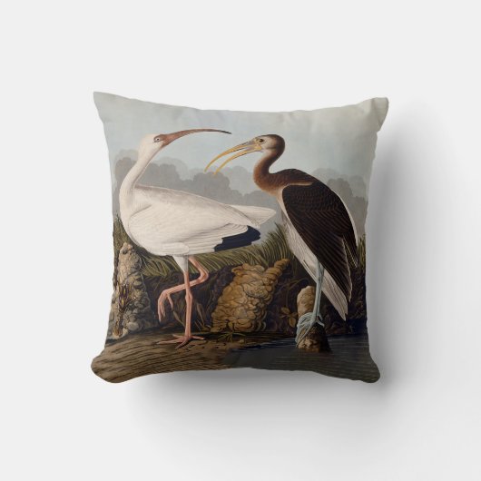 John James Audubon White Ibis Bird Print Classic クッション (正面)