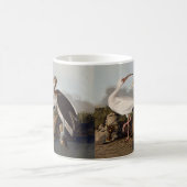 John James Audubon White Ibis Bird Print Classic コーヒーマグカップ (中央)