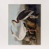 John James Audubon White Ibis Bird Print Classic ジグソーパズル (縦)