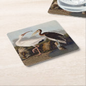 John James Audubon White Ibis Bird Print Classic スクエアペーパーコースター (アングル)