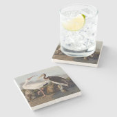 John James Audubon White Ibis Bird Print Classic ストーンコースター (横)