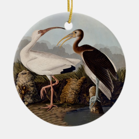 John James Audubon White Ibis Bird Print Classic セラミックオーナメント (正面)