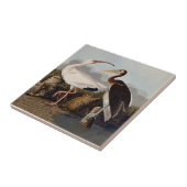 John James Audubon White Ibis Bird Print Classic タイル (側面)