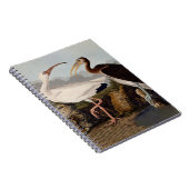 John James Audubon White Ibis Bird Print Classic ノートブック (右側)