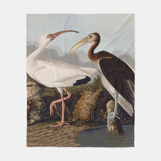John James Audubon White Ibis Bird Print Classic フリースブランケット (正面)