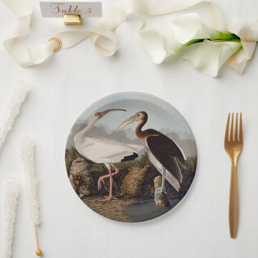 John James Audubon White Ibis Bird Print Classic ペーパープレート (ウェディング)