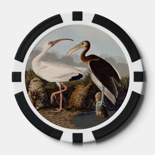 John James Audubon White Ibis Bird Print Classic ポーカーチップ (正面)
