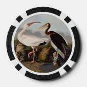 John James Audubon White Ibis Bird Print Classic ポーカーチップ (裏面)