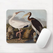 John James Audubon White Ibis Bird Print Classic マウスパッド (マウス)