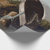 John James Audubon White Ibis Bird Print Classic ラッピングペーパー (角)