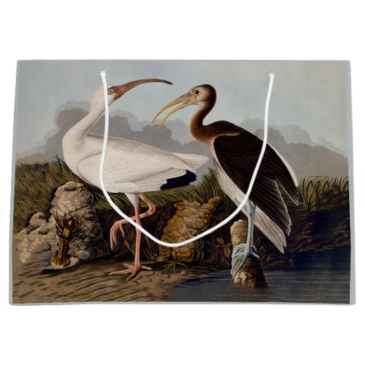 John James Audubon White Ibis Bird Print Classic ラージペーパーバッグ (正面)