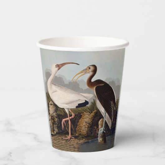 John James Audubon White Ibis Bird Print Classic 紙コップ (裏面)