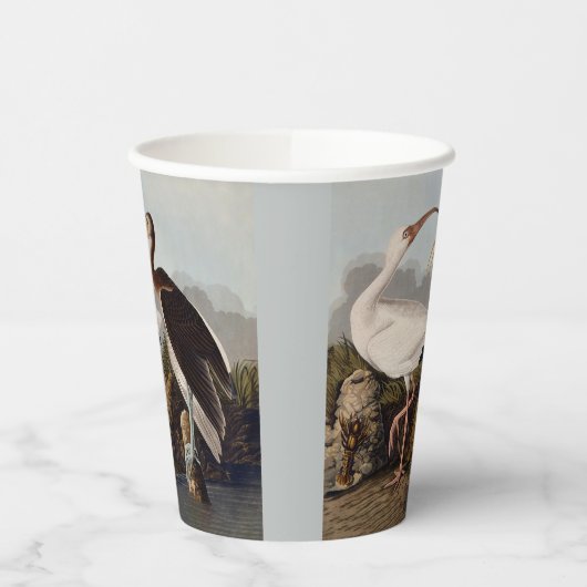 John James Audubon White Ibis Bird Print Classic 紙コップ (左)