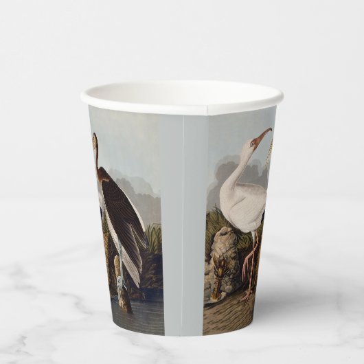 John James Audubon White Ibis Bird Print Classic 紙コップ (右)