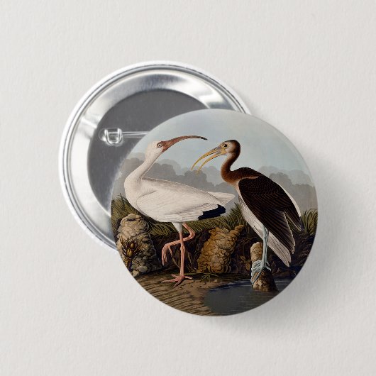 John James Audubon White Ibis Bird Print Classic 缶バッジ (正面&裏面)