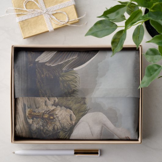 John James Audubon White Ibis Bird Print Classic 薄葉紙 (ギフト)