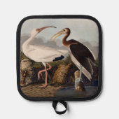 John James Audubon White Ibis Bird Print Classic 鍋敷き (正面)