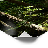 John Muir引用文の土道を写真で撮影 ポスター (コーナー)