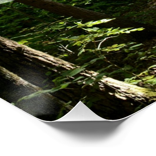 John Muir引用文の土道を写真で撮影 ポスター (コーナー)