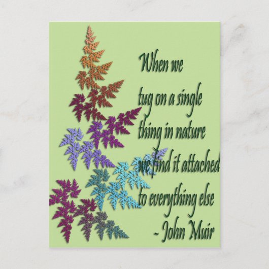 john muir – はがき (正面)