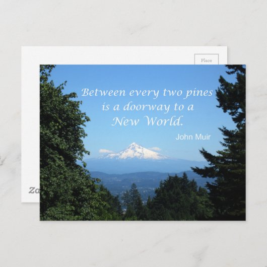 John Muir:「松と松の間に入り口がある」 ポストカード (正面/裏面)