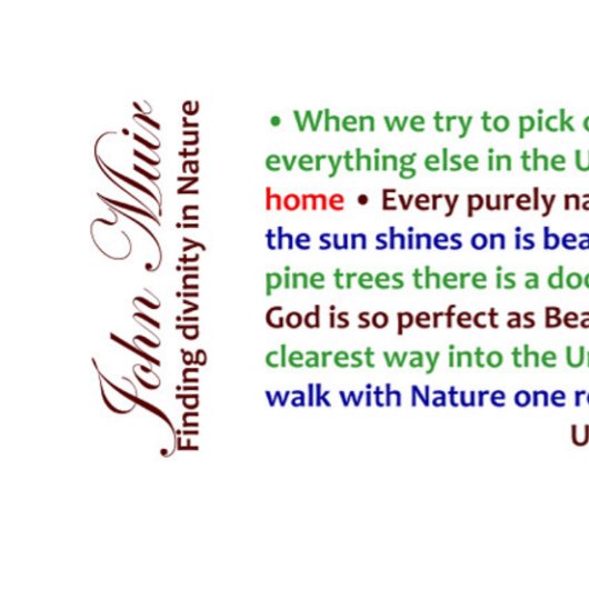 John Muir, Finding divinity in Data Mug コーヒーマグカップ