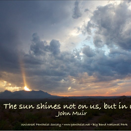 John Muir, Finding divinity in Data Mug コーヒーマグカップ