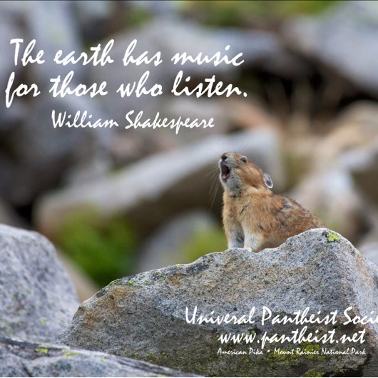 John Muir, Finding divinity in Data Mug コーヒーマグカップ