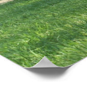 John Oliver Black Bear Cabin ポスター (角)