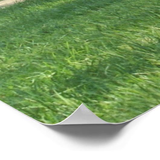 John Oliver Black Bear Cabin ポスター (角)