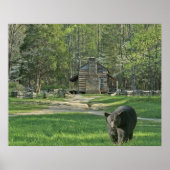 John Oliver Black Bear Cabin ポスター (正面)