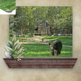 John Oliver Black Bear Cabin ポスター