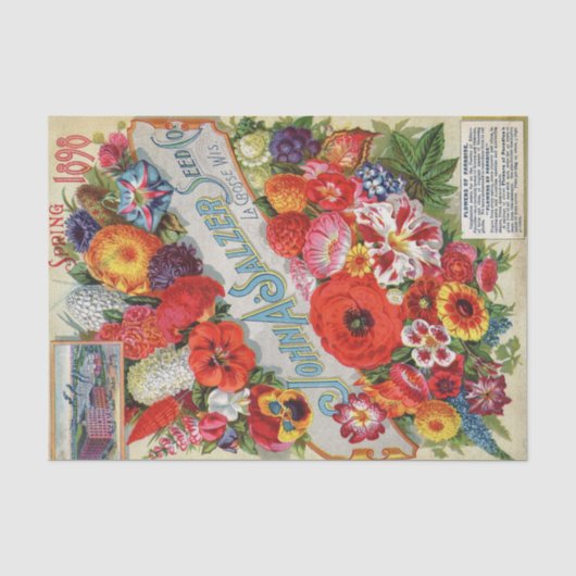 John Salzerヴィンテージ花種カタログ， 1898 薄葉紙 (正面)